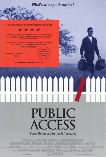 Публичный доступ (1993)
