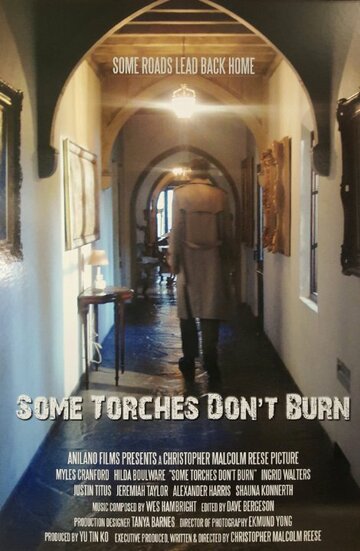 Some Torches Don't Burn (2015)